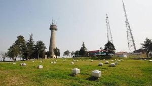Maltepe Park’ta Çalışmalar Başladı