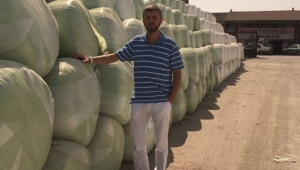 APEK Daneli Mısır Salajı Alımlarına Aralıksız Devam Ediyor