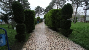 Akyazı Belediyesi Park Ve Bahçeleri Güzelleştiriyor
