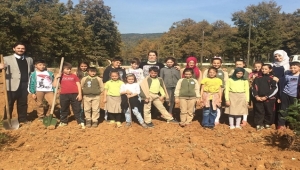 BİOSUN PAMUKOVA’DAN ÇEVREYE DESTEK