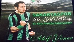 Sanat elçimiz Akif Yener Antalya ve Muğla'da
