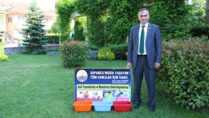 Sokak Hayvanları Konusunda İspatsız ve Vicdansız Suçlamaları Kabul Etmiyoruz