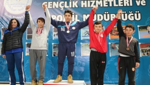 Güreşin Yıldızları