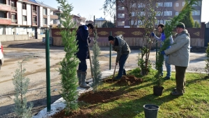 “Karasu Belediyesi Ağaçlandırma Çalışmalarına Önem Veriyor”