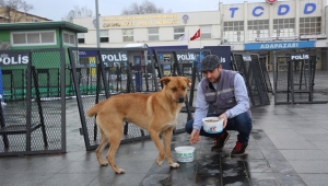 Sokak Hayvanlarına Yem Bırakıldı