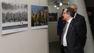 Vali Coş, Fotoğraf Yarışması Sergisini Gezdi