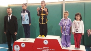 Wushuda İl Birinciliği Sona Erdi