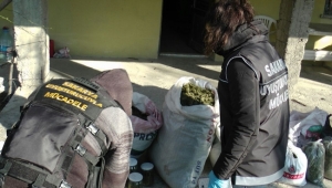 24 Kilogram Kubar Esrar Ele Geçirildi