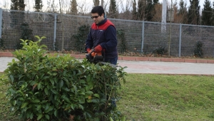 Fidan Ekimi Ve Budama Çalışmaları Devam Ediyor