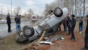 Otomobile Ağaç Saplandı, Sürücüsü Yara Almadan Kurtuldu