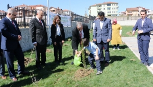Diktikleri Ağaçlar Onlarla Birlikte Büyüyecek