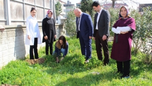 Hastane Personeli Ağaç Dikti