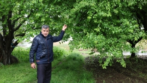Don, Çiftçiyi Ağır Vuruyor
