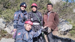 Kayalıklarda Mahsur Kalan Keçi Kurtarıldı