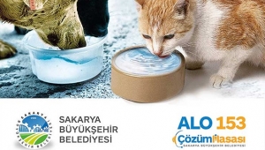 Onlar İçin Bir Kap Su
