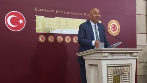 Özkoç;