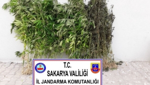 1 Haftada 7 Uyuşturucu Operasyonu!