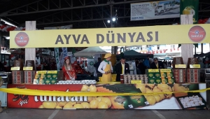 Geyve Ayva Festivali Başladı