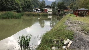 SASKİ'den Akaryakıt Sızıntısına Anında Müdahale