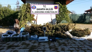Sakarya’da 70 Kilogram Kubar Esrar Ele Geçirildi