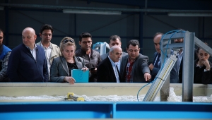 Su Kalitesi Standartların Çok Üzerinde