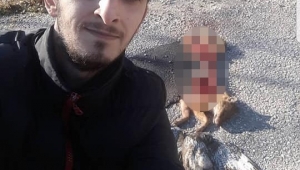O PAYLAŞIMLARDAN SONRA HAYVANSEVERLER AYAĞA KALKTI