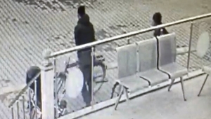 Kaymakamlık Binası Önünde Bisiklet Çaldı