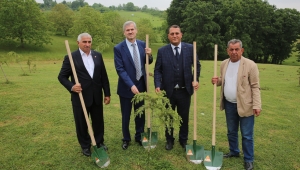 Camili’ye Bin 500 Fidan Dikildi