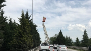 SEDAŞ'tan Aydınlatma Bakım Çalışmalarında Başarılı Performans