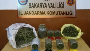 Hendek'te 3,5 Kilo Esrar Ele Geçirildi