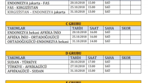 Dünya Kupası Sakarya'da