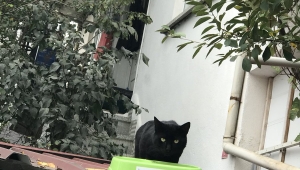 Engelsiz Yüreklerden Anlamlı Etkinlik