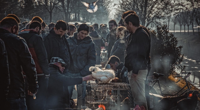 Fotoğraf Yarışması Sonuçlandı