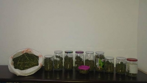 Karasu'da Uyuşturucu Operasyonu! 1 Tutuklama