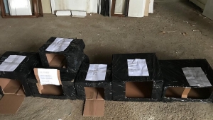 Kaynarcalı Gençler Kedi Ve Köpek Evi Yaptı 