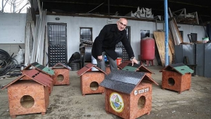 Sapanca Belediyesi Kedi Evleri Projesin Hayata Geçirdi