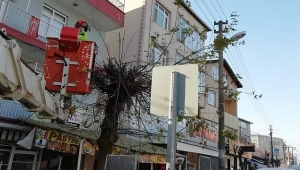 Sedaş'tan Sürekli Ve Kaliteli Elektrik İçin Koruyucu Bakım Önlemleri