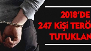 247 KİŞİ TERÖRDEN TUTUKLANDI