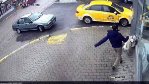 İki Pitbull Sokak Köpeğine Saldırdı! Pitbull'un Sahibine Cezai İşlem Uygulandı