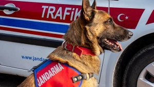 UYUŞTURUCUDAN 75 KİŞİ TUTUKLANDI