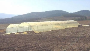 Bir İlke İmza Attı!