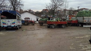 Lahana Üreticinin Yüzünü Güldürüyor