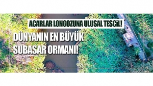 ACARLAR LONGOZUNA ULUSAL TESCİL! DÜNYANIN EN BÜYÜK SUBASAR ORMANI