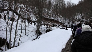 Doğaseverler İnönü Yaylası'nda Yürüdü