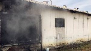 Tavuk Çiftliğinde Yangın! 700 Hindi Yavrusu Telef Oldu