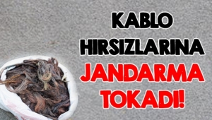 KABLO HIRSIZLARINA JANDARMA TOKADI!