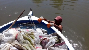 TAVUK ÖLÜLERİNİ ÇUVALLAYIP SAKARYA NEHRİNE ATTILAR