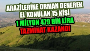 Arazilerine Orman Denerek El Konulan 15 Kişi 1 Milyon 479 Bin Lira Tazminat Kazandı