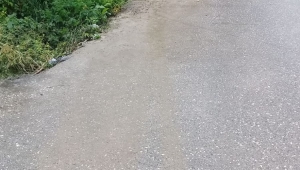 Büyükşehir'in Hızlı Müdahalesi Olumsuzlukların Önüne Geçti