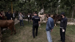 Kurban Satış Yerlerinde Denetim